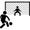 明锦柳